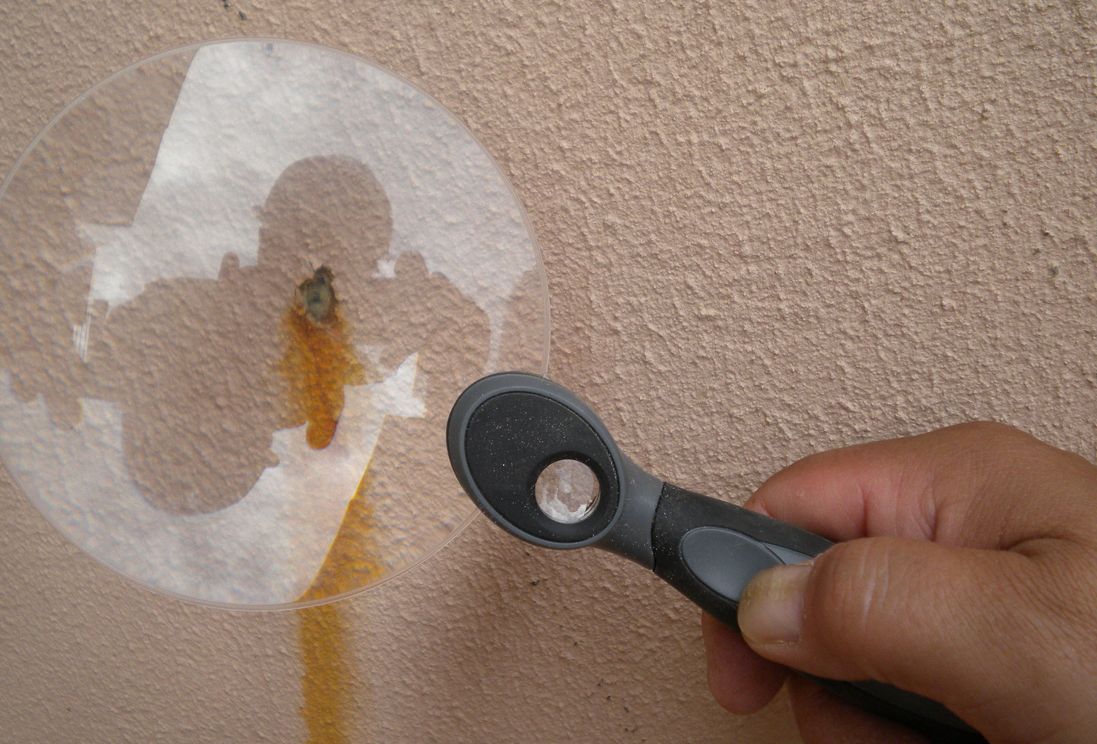 Plan de Control de Calidad en Obra: Contenido Obligatorio, Fases y Quién lo Redacta